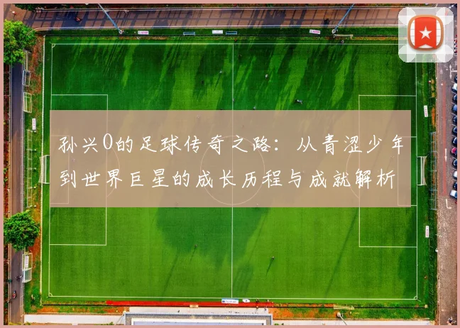 孙兴O的足球传奇之路：从青涩少年到世界巨星的成长历程与成就解析