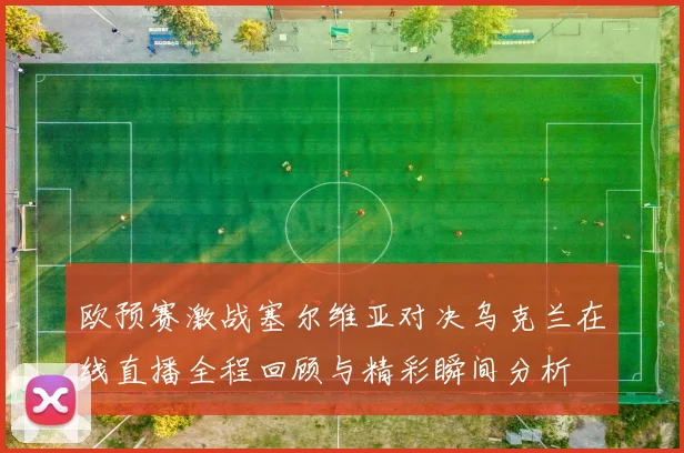欧预赛激战塞尔维亚对决乌克兰在线直播全程回顾与精彩瞬间分析