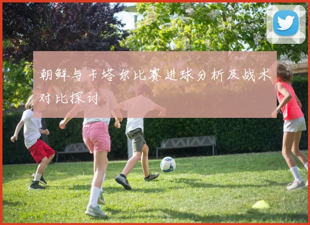 朝鲜与卡塔尔比赛进球分析及战术对比探讨